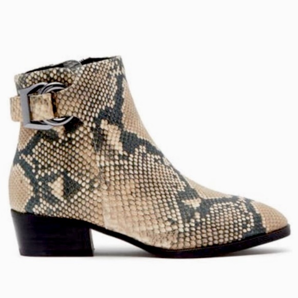 STEVE MADDEN Ringer Snakeskin Print Leather Ankle Boots Like New